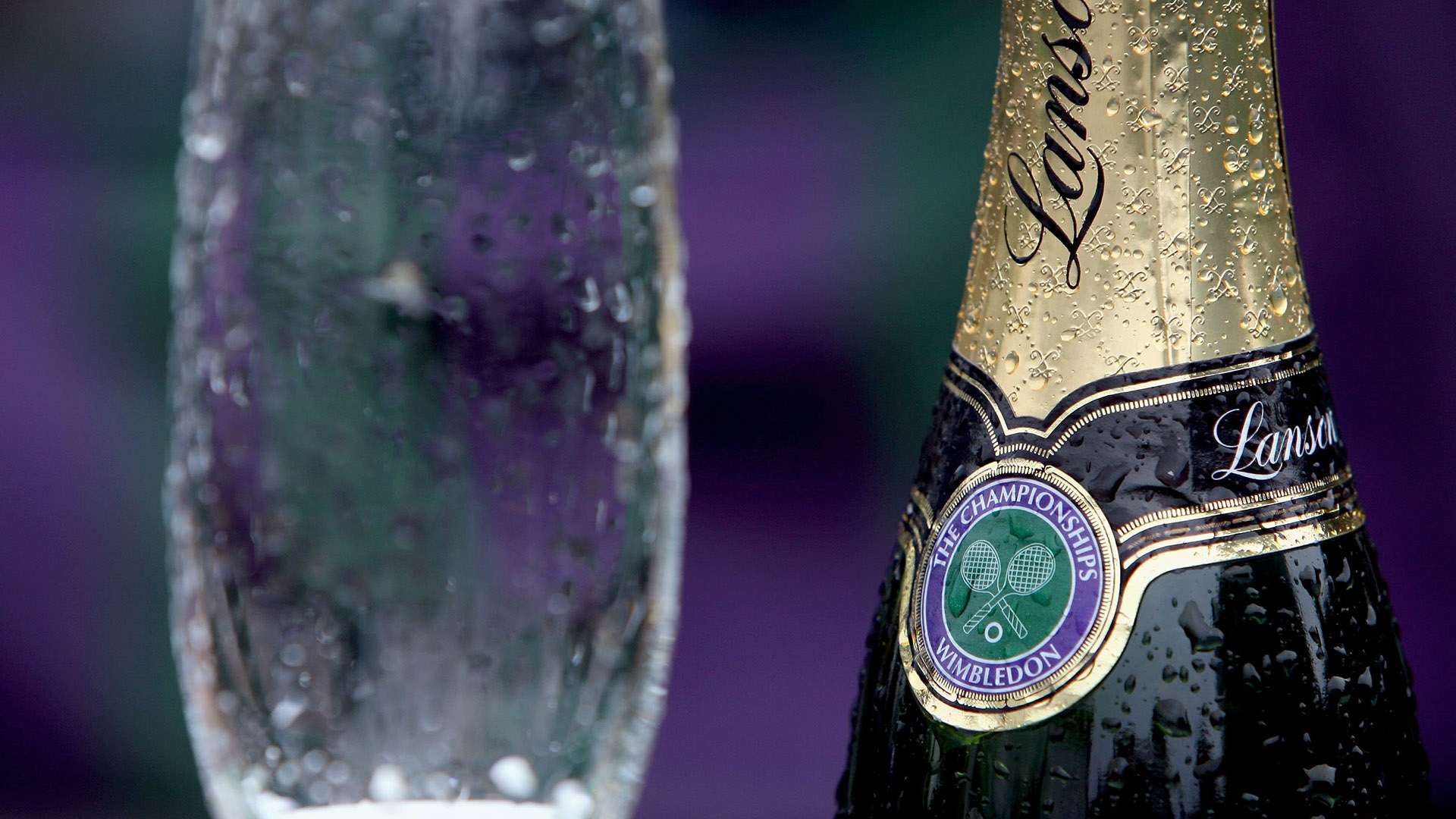 展示了他们 展示了他们